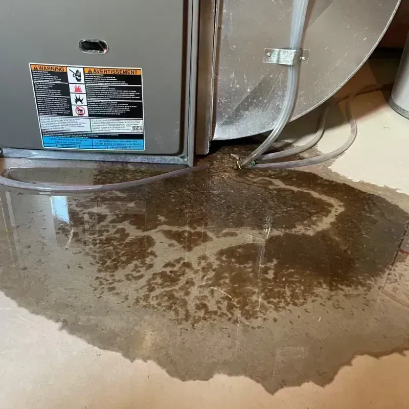 Appliance Leak Cleanup in Glendale, WV